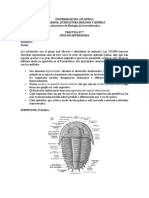 Practica #7. Phylum Arthropoda