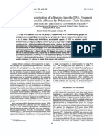 Detection of Candida Albicans by Polymerase Chain Reaction: Isolation and Characterization of Species-Specific For