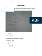 Algebra Basica 1