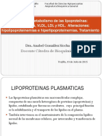 T-28 Metabolismo Lipoproteinas