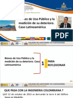 CM5 Bienes de Uso Público - Juan Carlos Leyton PDF