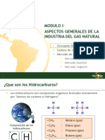 Modulo I Gas Natural