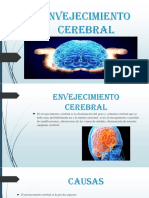 Envejecimiento Cerebral