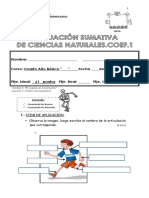 Evaluacion Sumativa Ciencias Cuartos Unidad 2, Leccion 1