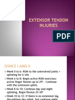 Extensor Tendon Injuries