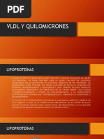 VLDL y Quilomicrones