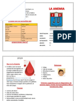 Diptico Anemia