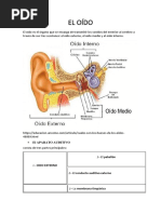 Procedimientos Médico