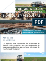 Regimen de Actividades Agricolas, Ganaderas, Silvicolas