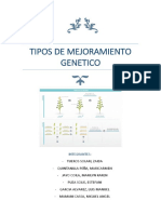 Tipos de Mejoramiento Genético en Plantas Alogamas