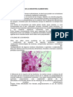 Caracteristicas de Los Microorganismos Industriales