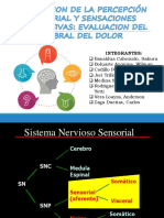 Fisiologia Percepcion Sensorial