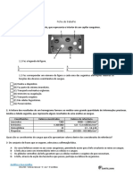 Ficha de Trabalho - Fev