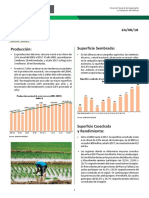 Informe Coyuntura Arroz 280818 - 0