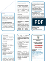 Sociedades Mercantiles - Triptico