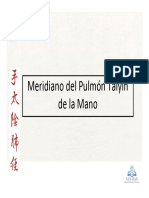 13 - Meridiano Del Pulmon Taiyin de La Mano