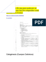 Cetogenesis y Metabolismo de Lipidos