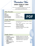 Curriculum Vitae