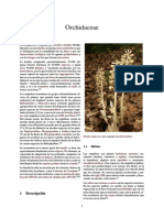 Orchidaceae PDF