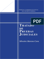 Tratado de Pruebas Judiciales