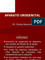 Aparato Urogenital de Los Animales