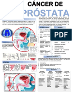 Cancer de Prostata