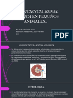 Insuficiencia Renal Crónica en Pequños Animales Milton Garcia