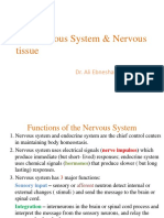 Chap 8 - Nervous Tissue