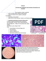 Pathology Slides 1