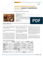 Comptabilité Poulet de Chair