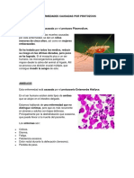 Enfermedades Causadas Por Protozoos