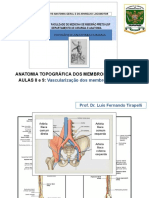 Aula Revisão Vascularização e Inervação Dos Membros Inferiores