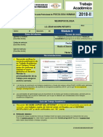 Fta-Neuropsicologia - Patsy 2019