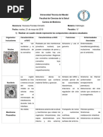 Estructuras Celulares Vistas Desde El Microscópio