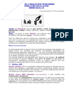 Bacilles A Gram Positif Sporogenes Famil PDF