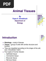 Animal Tissues: by Fayez A. Elmabhouh