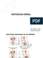 Histologia Renal PDF