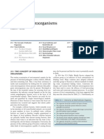 Microorganismos Indicadores