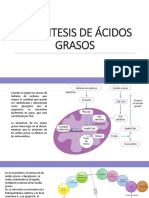 Biosíntesis de Ácidos Grasos, Tag y Colesterol