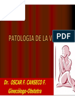 Patologia de La Vagina