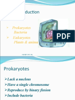 Cell Reproduction: Prokaryotes Bacteria Eukaryotes Plants & Animals