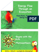 Energy Flow Through An Ecosystem: Food Chains, Food Webs, Food Chains, Food Webs, Energy Pyramids Energy Pyramids