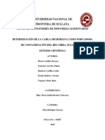 Determinación de La Carga Microbiana Como Indicadora de Contaminación Del Río Chira Sullana 2018.