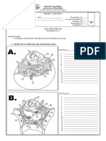 G11 Bio WS4. Cell Organelles
