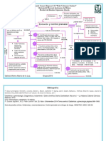 Control Mapa