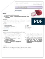 CITOLOGÍA. 1. Observación de Células Vegetales. 4º ESO BIOLOGÍA Y GEOLOGÍA Prácticas de Laboratorio. 