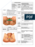Perineo Ant y Post