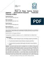 Protective Effect of Rosa Canina Extract Against Doxorubicin-Induced Testicular Toxicity in Mice