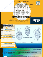 Parasitologia Trichomonas