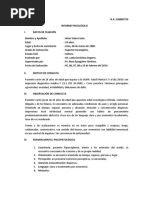 Informe Psicologico